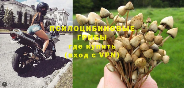 хмурый Балахна