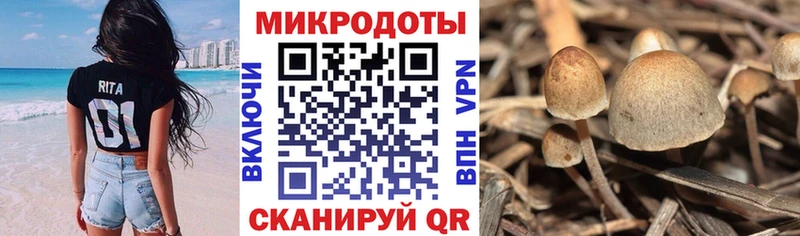 Псилоцибиновые грибы Psilocybine cubensis  ОМГ ОМГ зеркало  Сорочинск 